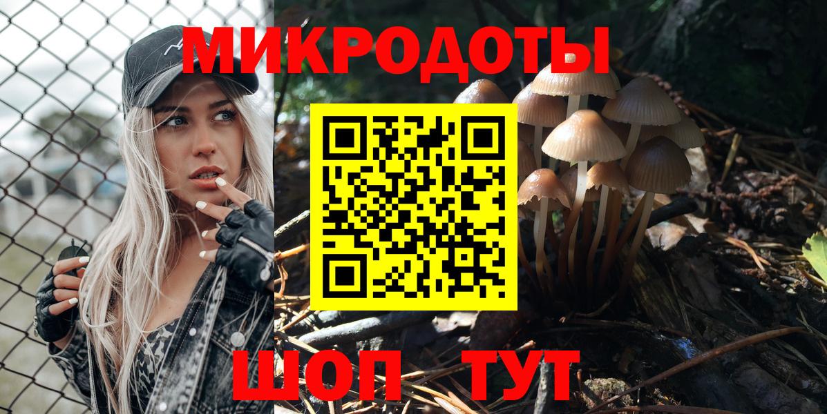 Псилоцибиновые грибы мицелий Санкт-Петербург